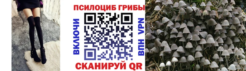 Галлюциногенные грибы ЛСД  Новый Уренгой 